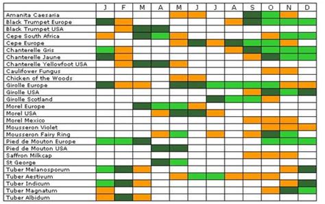 mushroom season chart